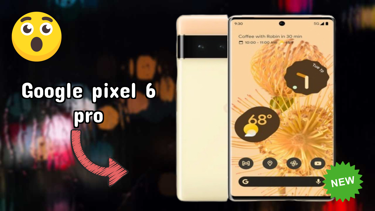 Google Pixel 6 Pro कैमरा रिव्यु: 50 MP + 12 MP + 48 MP Rear Camera फोटो टेस्ट