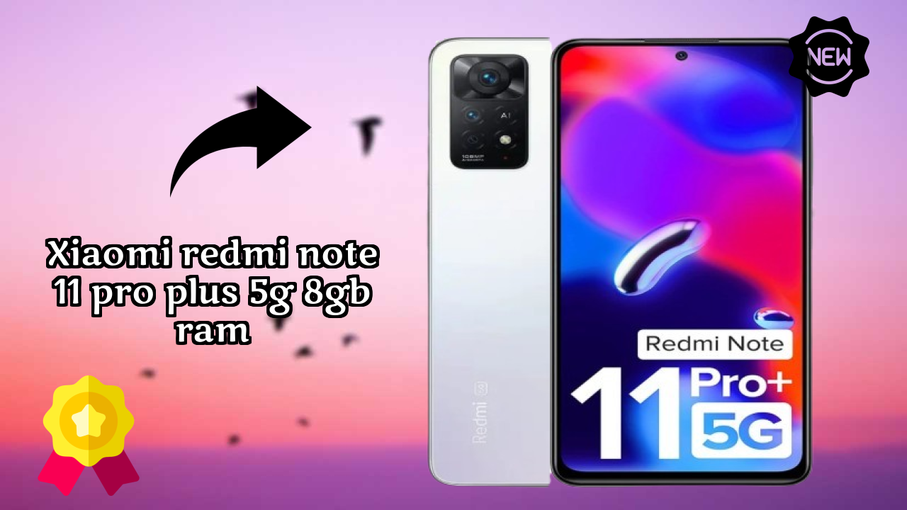 Xiaomi Redmi Note 11 Pro Plus 5G 8GB RAM कैमरा टेस्ट: 108 MP + 8 MP + 2 MP Rear Camera रियल फोटो